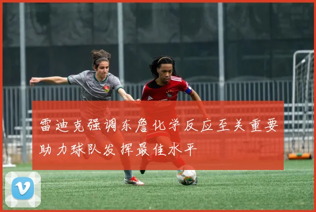 雷迪克强调东詹化学反应至关重要助力球队发挥最佳水平