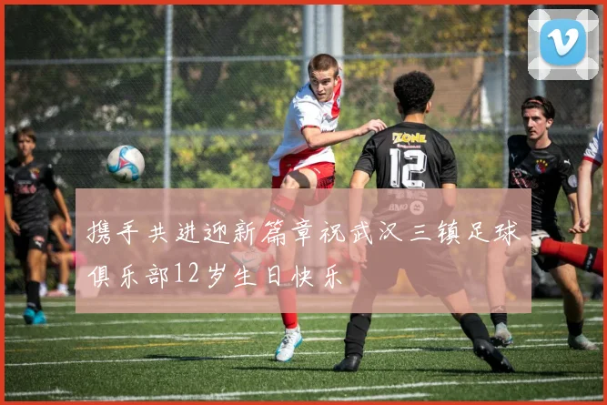 携手共进迎新篇章祝武汉三镇足球俱乐部12岁生日快乐