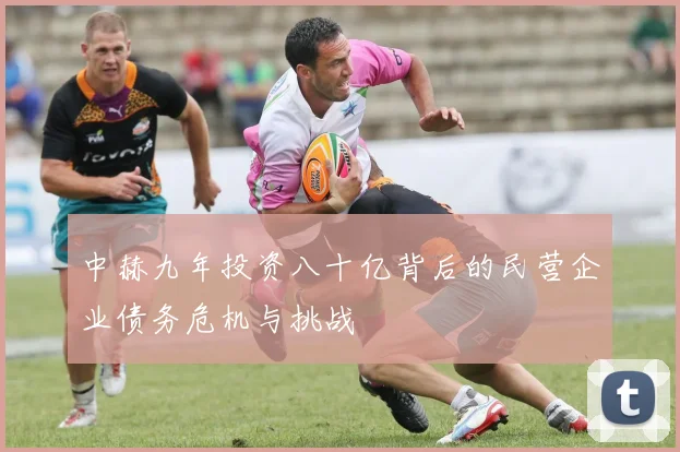 中赫九年投资八十亿背后的民营企业债务危机与挑战