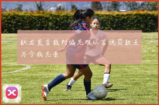 狄龙直言裁判偏见难以言说罚款五万令我无奈