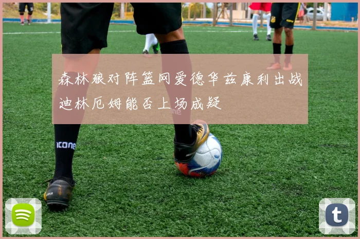 森林狼对阵篮网爱德华兹康利出战迪林厄姆能否上场成疑