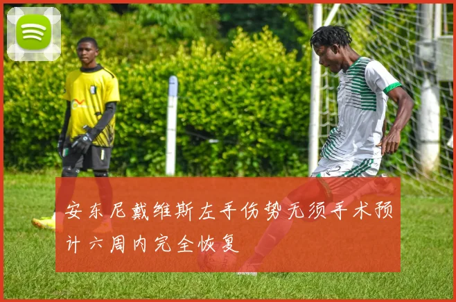 安东尼戴维斯左手伤势无须手术预计六周内完全恢复