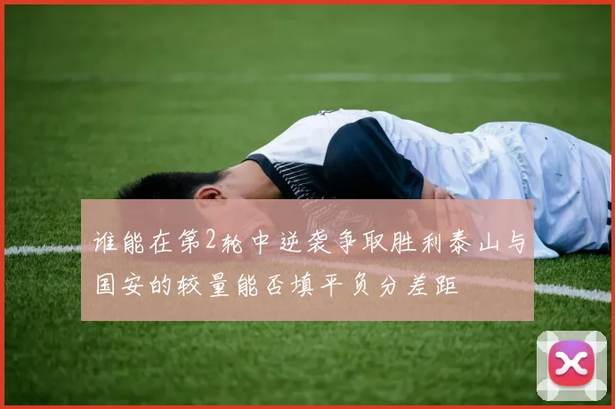 谁能在第2轮中逆袭争取胜利泰山与国安的较量能否填平负分差距