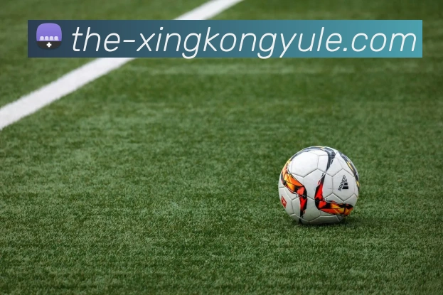 星空娱乐平台生态图