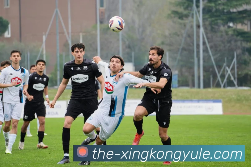 数据防护可视化